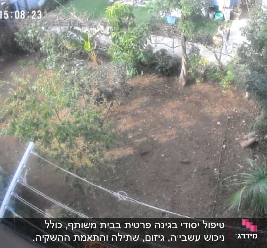גינה עם עצים ושיחים, צולם מלמעלה